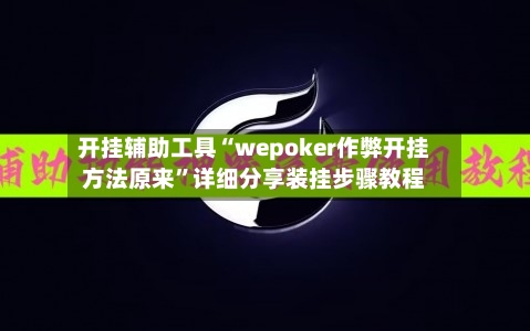 开挂辅助工具“wepoker作弊开挂方法原来”详细分享装挂步骤教程-第2张图片
