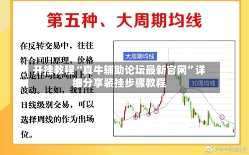 开挂教程“真牛辅助论坛最新官网”详细分享装挂步骤教程-第3张图片