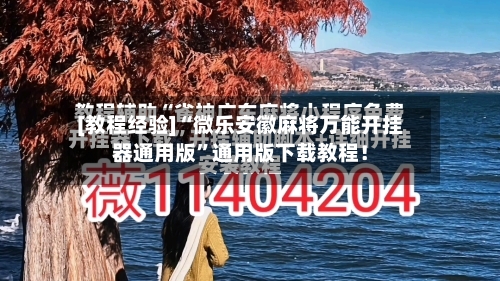 [教程经验]“微乐安徽麻将万能开挂器通用版”通用版下载教程！-第2张图片