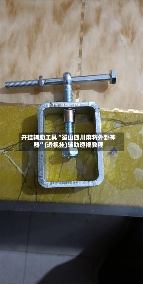 开挂辅助工具“蜀山四川麻将外卦神器”(透视挂)辅助透视教程-第2张图片