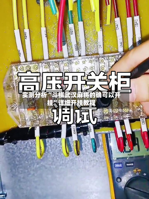 实测分析“斗棋武汉麻将的确可以开挂	”详细开挂教程-第2张图片