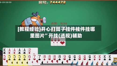 [教程经验]开心打筒子挂件挂件挂哪里图片”开挂(透视)辅助-第2张图片