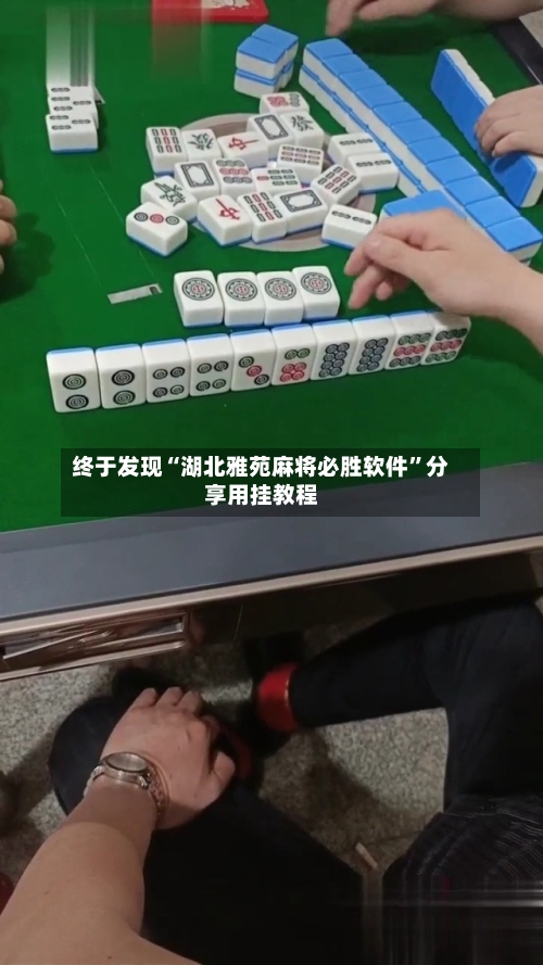 终于发现“湖北雅苑麻将必胜软件”分享用挂教程