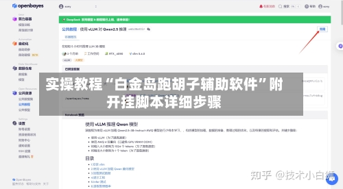 实操教程“白金岛跑胡子辅助软件”附开挂脚本详细步骤