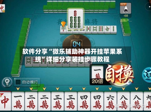 软件分享“微乐辅助神器开挂苹果系统”详细分享装挂步骤教程-第2张图片