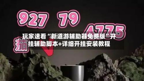 玩家速看“新道游辅助器免费版”开挂辅助脚本+详细开挂安装教程-第2张图片