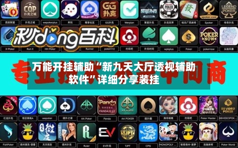 万能开挂辅助“新九天大厅透视辅助软件”详细分享装挂-第2张图片