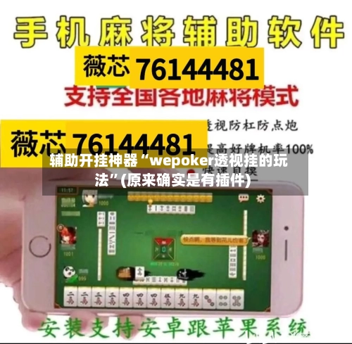 辅助开挂神器“wepoker透视挂的玩法”(原来确实是有插件)-第3张图片