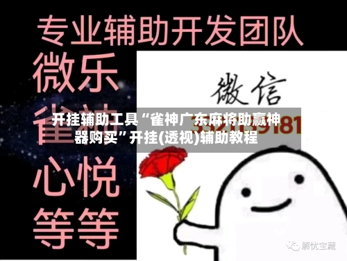 开挂辅助工具“雀神广东麻将助赢神器购买”开挂(透视)辅助教程-第3张图片