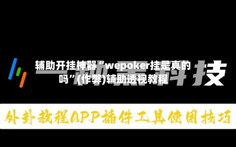 辅助开挂神器“wepoker挂是真的吗”(作弊)辅助透视教程-第2张图片