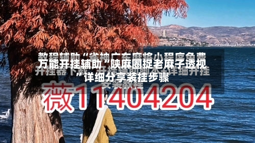 万能开挂辅助“陕麻圈捉老麻子透视	”详细分享装挂步骤-第2张图片