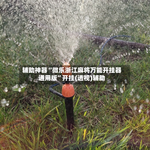 辅助神器“微乐浙江麻将万能开挂器通用版”开挂(透视)辅助-第2张图片