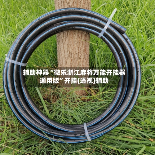 辅助神器“微乐浙江麻将万能开挂器通用版”开挂(透视)辅助