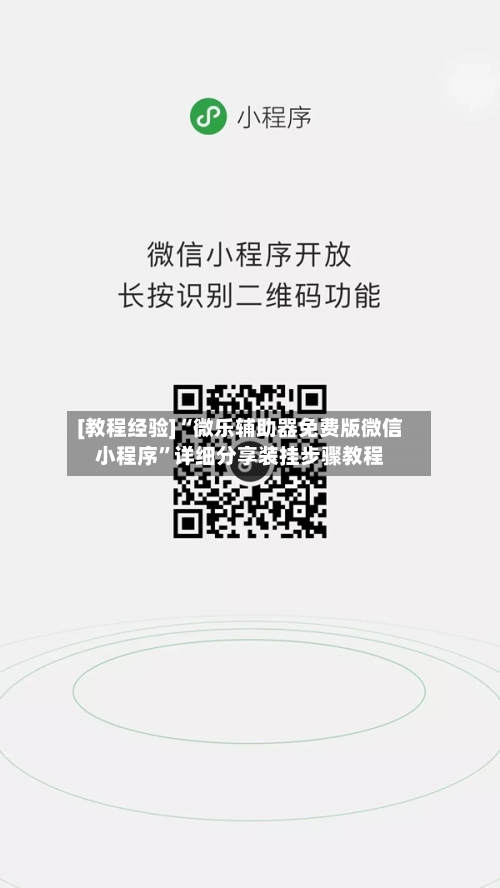 [教程经验]“微乐辅助器免费版微信小程序	”详细分享装挂步骤教程-第2张图片