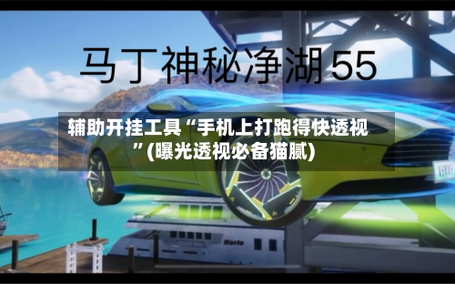 辅助开挂工具“手机上打跑得快透视”(曝光透视必备猫腻)