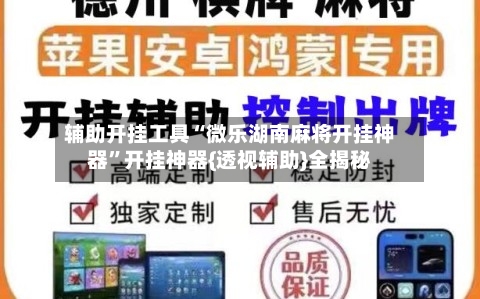 辅助开挂工具“微乐湖南麻将开挂神器”开挂神器{透视辅助}全揭秘-第3张图片