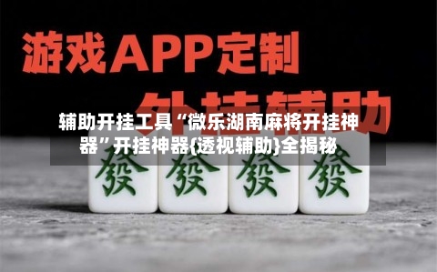 辅助开挂工具“微乐湖南麻将开挂神器”开挂神器{透视辅助}全揭秘-第2张图片
