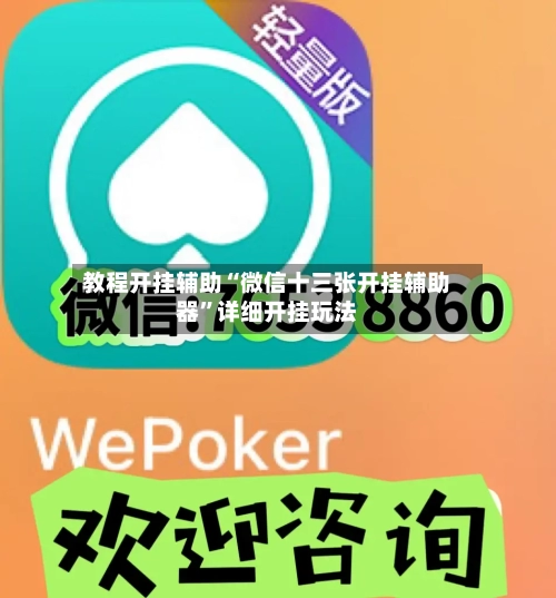 教程开挂辅助“微信十三张开挂辅助器”详细开挂玩法-第2张图片