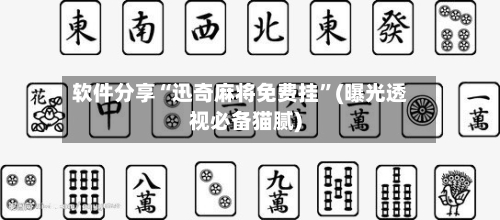软件分享“迅奇麻将免费挂	”(曝光透视必备猫腻)-第2张图片