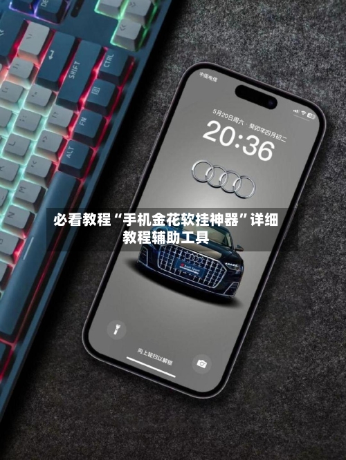 必看教程“手机金花软挂神器	”详细教程辅助工具-第2张图片