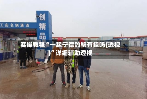 实操教程“一起宁德钓蟹有挂吗(透视)”详细辅助透视