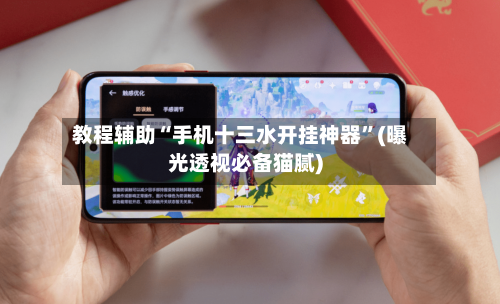 教程辅助“手机十三水开挂神器”(曝光透视必备猫腻)