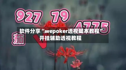 软件分享“wepoker透视脚本教程	”开挂辅助透视教程-第2张图片