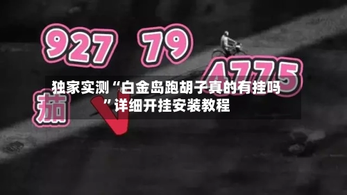 独家实测“白金岛跑胡子真的有挂吗”详细开挂安装教程-第3张图片