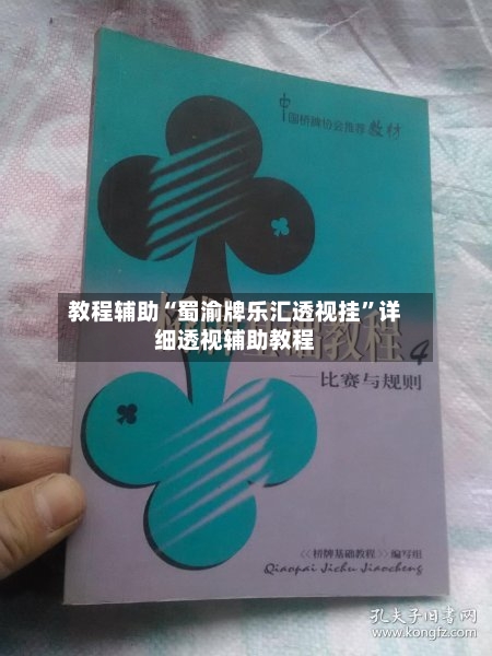 教程辅助“蜀渝牌乐汇透视挂	”详细透视辅助教程-第2张图片