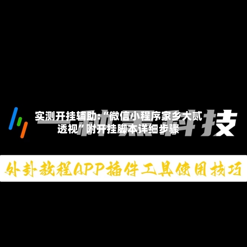 实测开挂辅助:“微信小程序家乡大贰透视	”附开挂脚本详细步骤-第3张图片