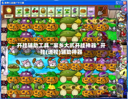 开挂辅助工具“家乡大贰开挂神器”开挂(透视)辅助神器-第2张图片