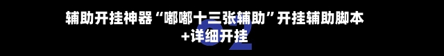 辅助开挂神器“嘟嘟十三张辅助”开挂辅助脚本+详细开挂-第2张图片