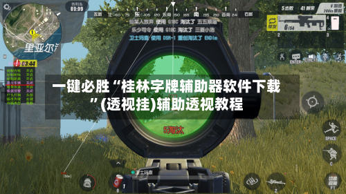 一键必胜“桂林字牌辅助器软件下载”(透视挂)辅助透视教程-第2张图片