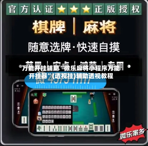 万能开挂辅助“微乐麻将小程序万能开挂器”(透视挂)辅助透视教程-第2张图片