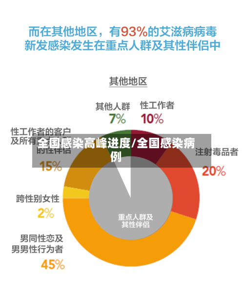 全国感染高峰进度/全国感染病例