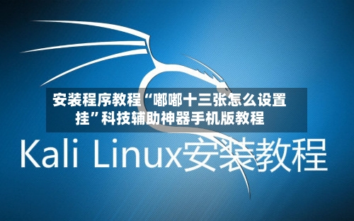 安装程序教程“嘟嘟十三张怎么设置挂”科技辅助神器手机版教程-第2张图片