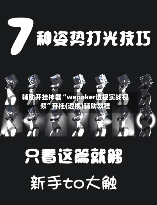 辅助开挂神器“wepoker透视实战视频”开挂(透视)辅助教程-第2张图片