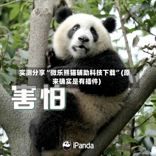 实测分享“微乐熊猫辅助科技下载”(原来确实是有插件)