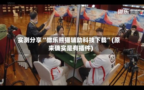 实测分享“微乐熊猫辅助科技下载”(原来确实是有插件)-第2张图片