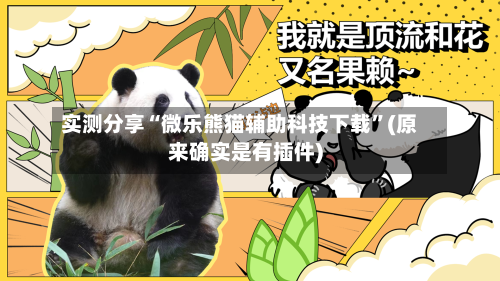 实测分享“微乐熊猫辅助科技下载	”(原来确实是有插件)-第3张图片