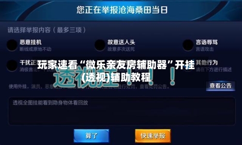玩家速看“微乐亲友房辅助器”开挂(透视)辅助教程-第2张图片