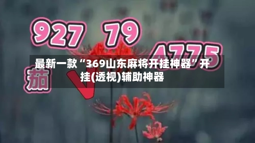 最新一款“369山东麻将开挂神器”开挂(透视)辅助神器-第3张图片