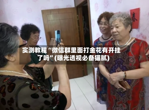 实测教程“微信群里面打金花有开挂了吗”(曝光透视必备猫腻)