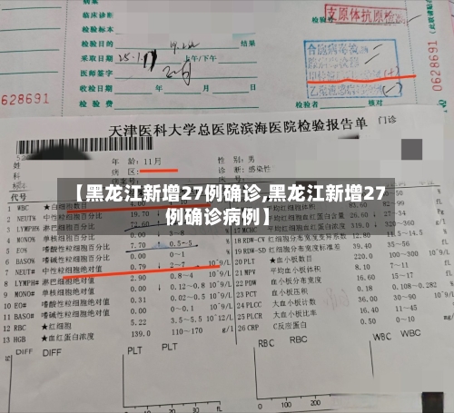 【黑龙江新增27例确诊,黑龙江新增27例确诊病例】-第2张图片