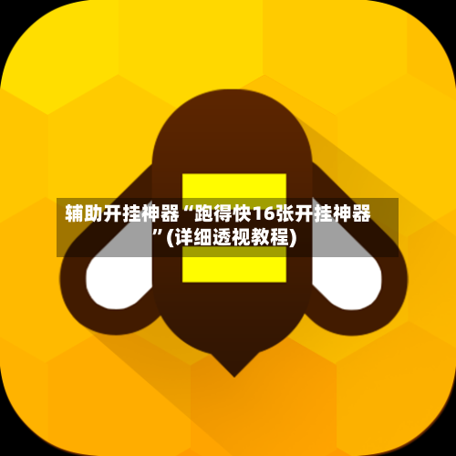 辅助开挂神器“跑得快16张开挂神器	”(详细透视教程)-第2张图片