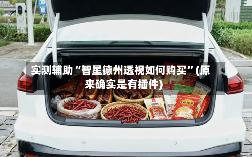 实测辅助“智星德州透视如何购买”(原来确实是有插件)-第2张图片