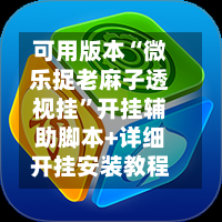可用版本“微乐捉老麻子透视挂”开挂辅助脚本+详细开挂安装教程-第3张图片