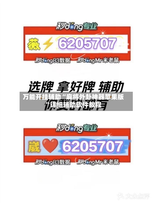 万能开挂辅助“麻将外卦神器苹果版”详细辅助软件教程-第2张图片