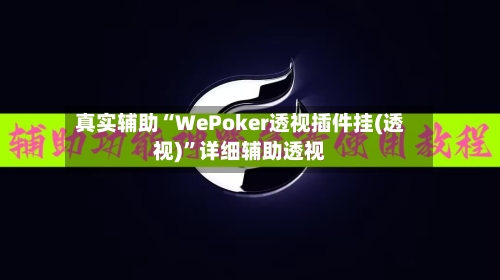 真实辅助“WePoker透视插件挂(透视)”详细辅助透视-第2张图片