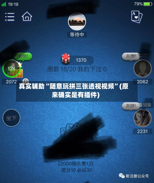 真实辅助“随意玩拼三张透视视频”(原来确实是有插件)